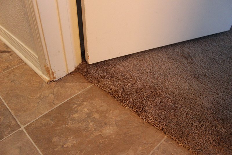 805 621 7907 1 Best Carpet Cleaning Repair Westlake Village Ca