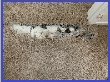 carpet repair before